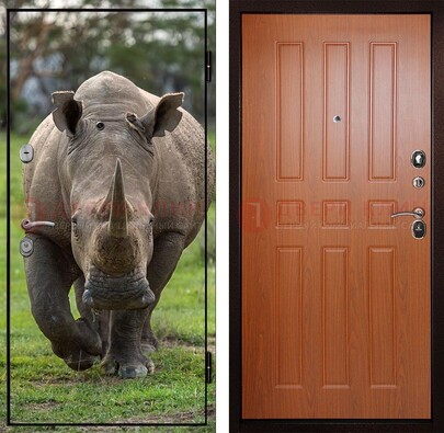 Металлическая дверь с фотопечатью носорога ДФ-31 в Дубне