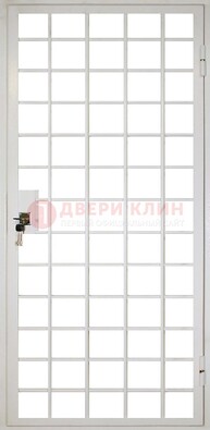 Белая металлическая решетчатая дверь ДР-2 в Дубне