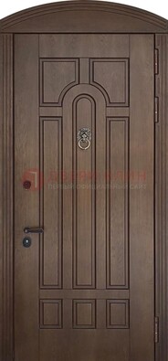 Коричневая стальная дверь с виноритом в форме арки ДВТ-237 в Дубне